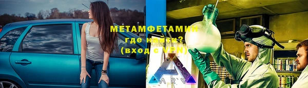 стафф Каменногорск