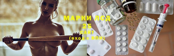 спиды Инсар