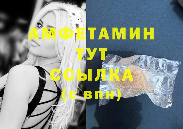стафф Каменногорск