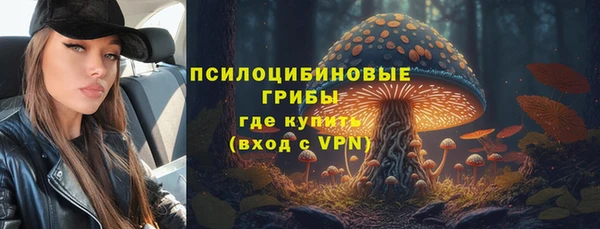 ALPHA-PVP Инта